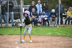 20250518-LLBB-10558.jpg
