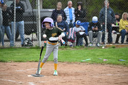 20250518-LLBB-10568.jpg