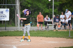 20250616-LLBB-07202.jpg