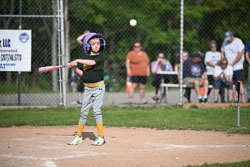 20250616-LLBB-07204.jpg