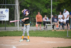 20250616-LLBB-07206.jpg