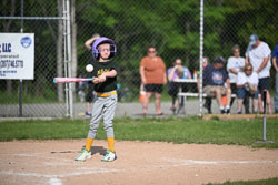 20250616-LLBB-07207.jpg