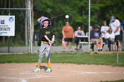 20250616-LLBB-07211.jpg