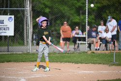 20250616-LLBB-07214.jpg