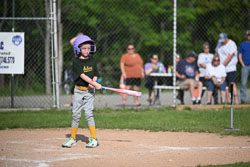20250616-LLBB-07220.jpg