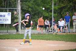 20250616-LLBB-10511.jpg
