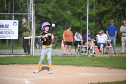 20250616-LLBB-10513.jpg