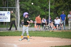 20250616-LLBB-10517.jpg