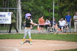 20250616-LLBB-10520.jpg