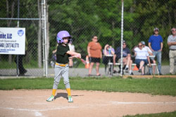 20250616-LLBB-10528.jpg