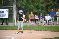 20250616-LLBB-10533.jpg