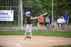 20250616-LLBB-10549.jpg