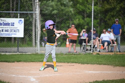 20250616-LLBB-10552.jpg