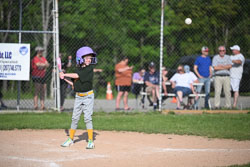 20250616-LLBB-13543.jpg
