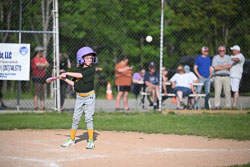 20250616-LLBB-13545.jpg