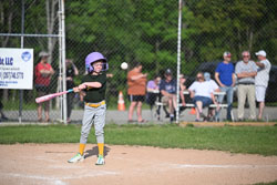 20250616-LLBB-13547.jpg