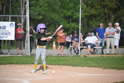 20250616-LLBB-13552.jpg
