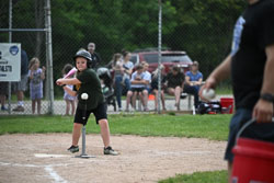 20250619-LLBB-11056.jpg