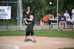 20250616-LLBB-06808.jpg