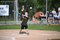 20250616-LLBB-06810.jpg