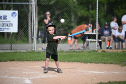 20250616-LLBB-06837.jpg
