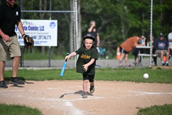 20250616-LLBB-06848.jpg