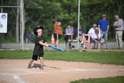 20250616-LLBB-09911.jpg