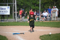 20250616-LLBB-13457.jpg