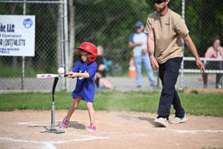 20250616-LLBB-02225.jpg