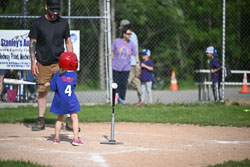 20250616-LLBB-04852.jpg