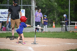 20250616-LLBB-04860.jpg