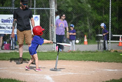 20250616-LLBB-04863.jpg