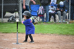 20250518-LLBB-11383.jpg