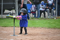 20250518-LLBB-11387.jpg
