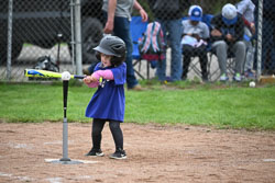 20250518-LLBB-11389.jpg