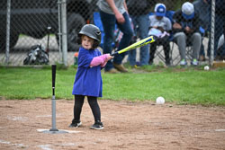 20250518-LLBB-11395.jpg