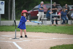 20250619-LLBB-00031.jpg
