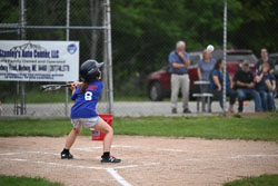 20250619-LLBB-01855.jpg