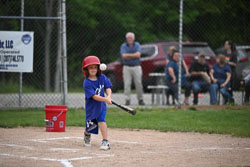 20250619-LLBB-01736.jpg