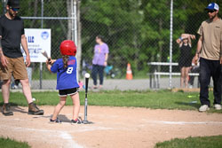 20250616-LLBB-05357.jpg