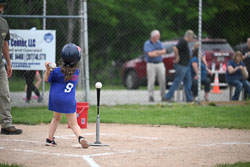 20250619-LLBB-01583.jpg