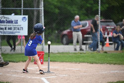 20250619-LLBB-01589.jpg