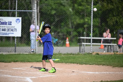 20250616-LLBB-02763.jpg