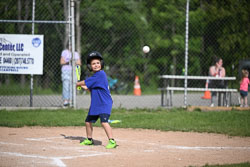 20250616-LLBB-02767.jpg