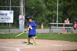 20250616-LLBB-02771.jpg