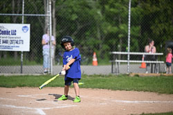 20250616-LLBB-02772.jpg