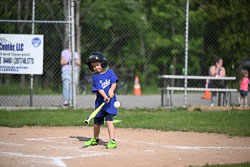 20250616-LLBB-02774.jpg