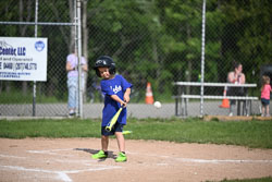 20250616-LLBB-02775.jpg