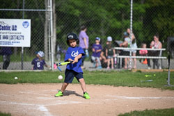 20250616-LLBB-05521.jpg