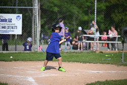 20250616-LLBB-05535.jpg